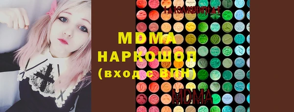 индика Надым