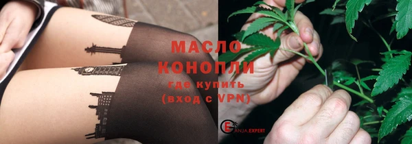 индика Надым