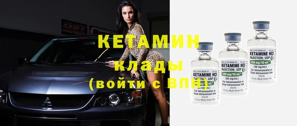 индика Надым