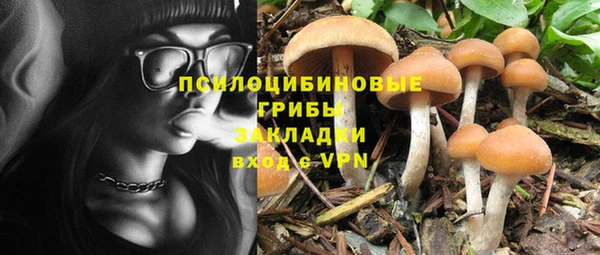 ПСИЛОЦИБИНОВЫЕ ГРИБЫ Наволоки