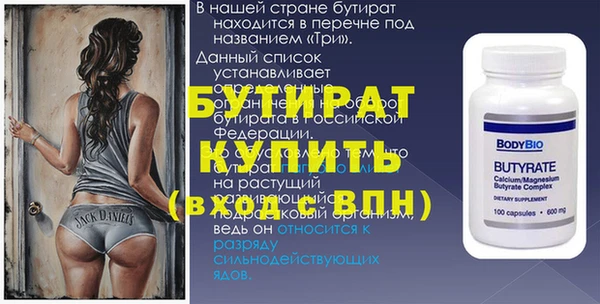 индика Надым