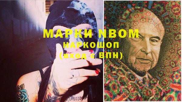 индика Надым