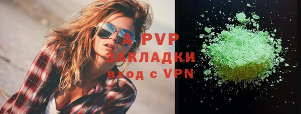 индика Надым