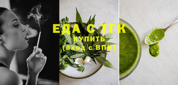 индика Надым