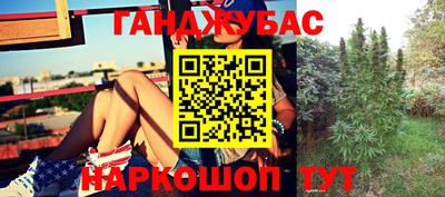 амф Краснознаменск