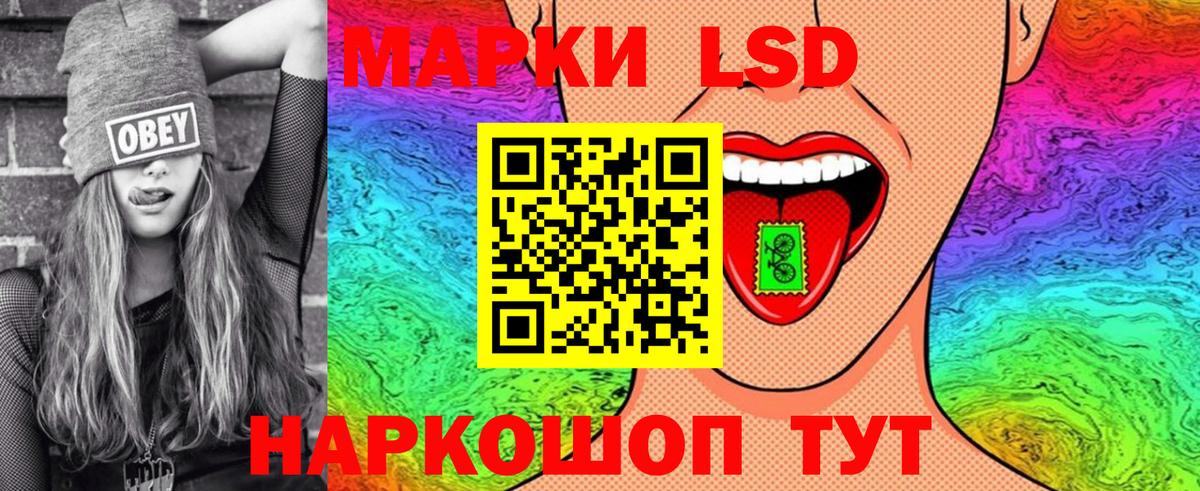 Галлюциногенные грибы Полысаево