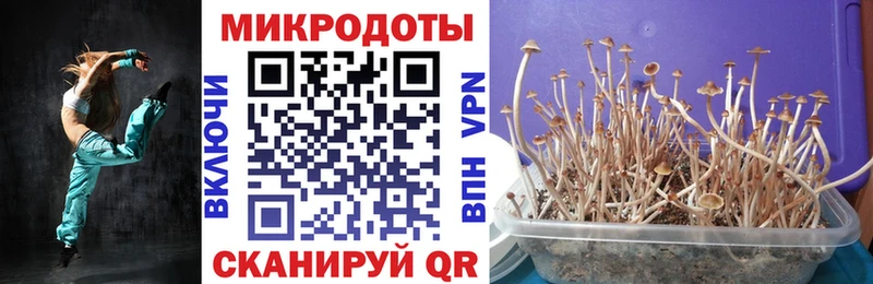 купить закладку  Полысаево  Галлюциногенные грибы Magic Shrooms 