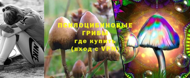 Галлюциногенные грибы Magic Shrooms  как найти закладки  Полысаево 