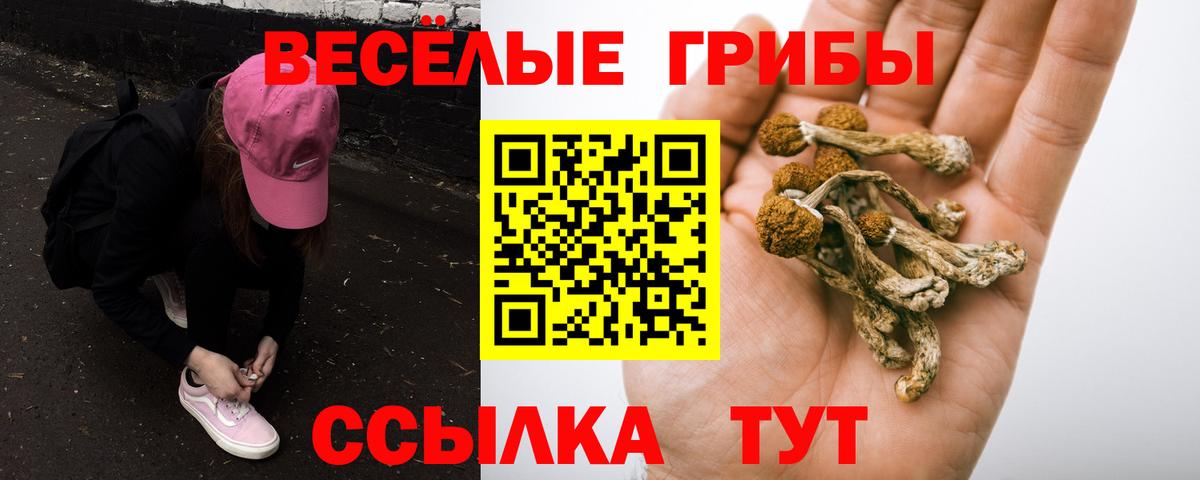 Галлюциногенные грибы Magic Shrooms  Галлюциногенные грибы мухоморы  Полысаево  Вход с VPN 
